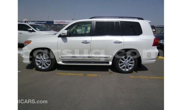 Acheter Import Voiture Toyota Land Cruiser Blanc à Import - Dubai, Barh el Gazel Acheter Import Voiture Toyota Land Cruiser Blanc à Import - Dubai, Barh el Gazel