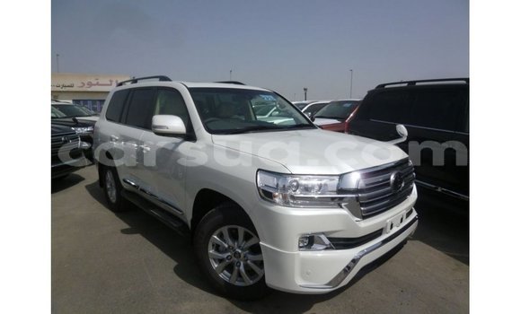 Acheter Import Voiture Toyota Land Cruiser Blanc à Import - Dubai, Barh el Gazel Acheter Import Voiture Toyota Land Cruiser Blanc à Import - Dubai, Barh el Gazel