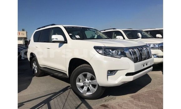 Acheter Import Voiture Toyota Prado Blanc à Import - Dubai, Barh el Gazel Acheter Import Voiture Toyota Prado Blanc à Import - Dubai, Barh el Gazel