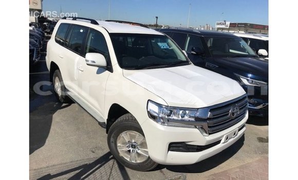 Acheter Import Voiture Toyota Land Cruiser Blanc à Import - Dubai, Barh el Gazel Acheter Import Voiture Toyota Land Cruiser Blanc à Import - Dubai, Barh el Gazel
