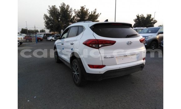 Acheter Import Voiture Hyundai Tucson Blanc à Import - Dubai, Barh el Gazel Acheter Import Voiture Hyundai Tucson Blanc à Import - Dubai, Barh el Gazel