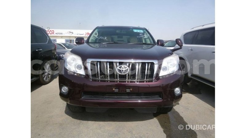 Big with watermark toyota prado barh el gazel import dubai 2679