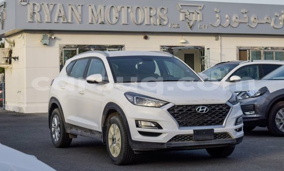 Acheter Import Voiture Hyundai Tucson Blanc à Import - Dubai, Barh el Gazel Acheter Import Voiture Hyundai Tucson Blanc à Import - Dubai, Barh el Gazel
