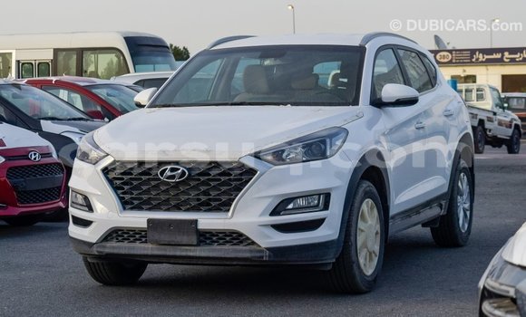 Acheter Import Voiture Hyundai Tucson Blanc à Import - Dubai, Barh el Gazel Acheter Import Voiture Hyundai Tucson Blanc à Import - Dubai, Barh el Gazel