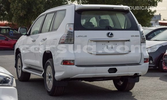 Acheter Import Voiture Lexus GX Blanc à Import - Dubai, Barh el Gazel Acheter Import Voiture Lexus GX Blanc à Import - Dubai, Barh el Gazel