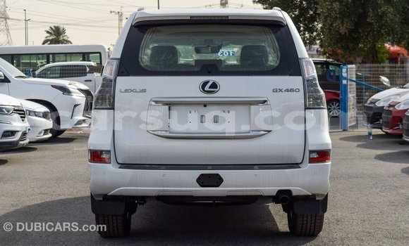 Acheter Import Voiture Lexus GX Blanc à Import - Dubai, Barh el Gazel Acheter Import Voiture Lexus GX Blanc à Import - Dubai, Barh el Gazel