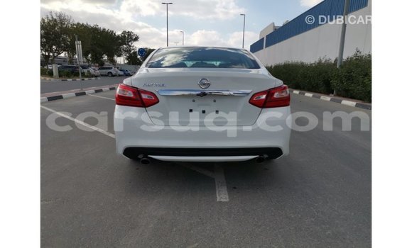 Acheter Import Voiture Nissan Altima Blanc à Import - Dubai, Barh el Gazel Acheter Import Voiture Nissan Altima Blanc à Import - Dubai, Barh el Gazel