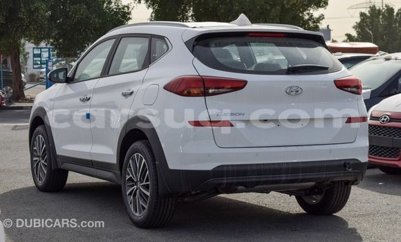 Acheter Import Voiture Hyundai Tucson Blanc à Import - Dubai, Barh el Gazel Acheter Import Voiture Hyundai Tucson Blanc à Import - Dubai, Barh el Gazel