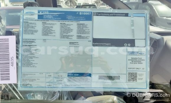 Acheter Import Voiture Ford Club Wagon Rouge à Import - Dubai, Barh el Gazel Acheter Import Voiture Ford Club Wagon Rouge à Import - Dubai, Barh el Gazel