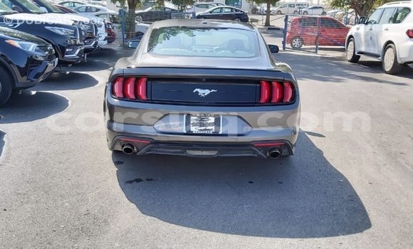 Buy Import Ford Mustang Other Car in Import - Dubai in Barh el Gazel Buy Import Ford Mustang Other Car in Import - Dubai in Barh el Gazel