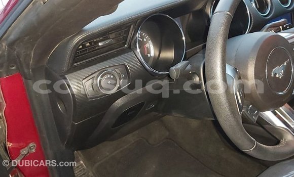 Acheter Import Voiture Ford Mustang Rouge à Import - Dubai, Barh el Gazel Acheter Import Voiture Ford Mustang Rouge à Import - Dubai, Barh el Gazel