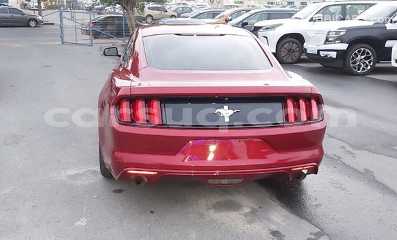 Acheter Import Voiture Ford Mustang Rouge à Import - Dubai, Barh el Gazel Acheter Import Voiture Ford Mustang Rouge à Import - Dubai, Barh el Gazel