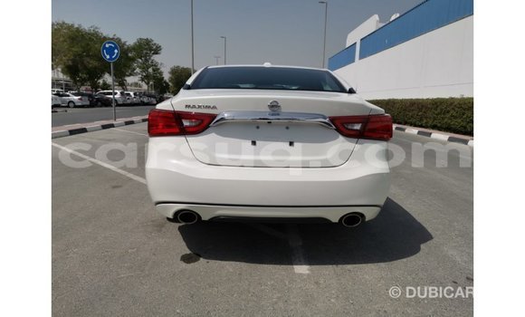 Acheter Import Voiture Nissan Maxima Blanc à Import - Dubai, Barh el Gazel Acheter Import Voiture Nissan Maxima Blanc à Import - Dubai, Barh el Gazel