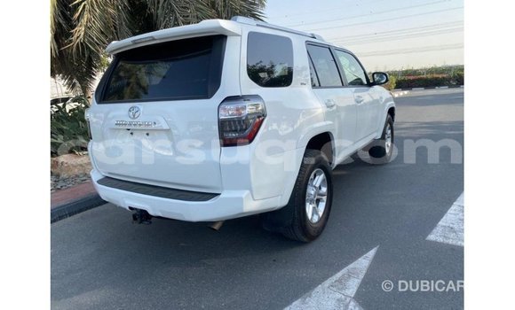Acheter Import Voiture Toyota 4Runner Blanc à Import - Dubai, Barh el Gazel Acheter Import Voiture Toyota 4Runner Blanc à Import - Dubai, Barh el Gazel