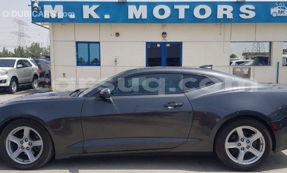 Acheter Import Voiture Chevrolet Camaro Autre à Import - Dubai, Barh el Gazel Acheter Import Voiture Chevrolet Camaro Autre à Import - Dubai, Barh el Gazel
