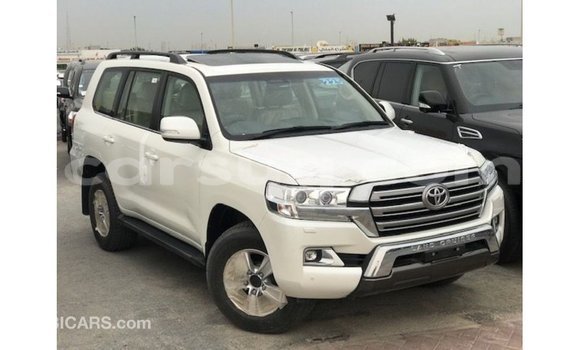 Acheter Import Voiture Toyota Land Cruiser Blanc à Import - Dubai, Barh el Gazel Acheter Import Voiture Toyota Land Cruiser Blanc à Import - Dubai, Barh el Gazel