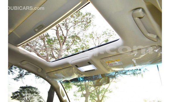 Acheter Import Voiture Toyota Land Cruiser Blanc à Import - Dubai, Barh el Gazel Acheter Import Voiture Toyota Land Cruiser Blanc à Import - Dubai, Barh el Gazel