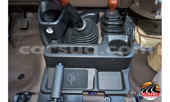 Acheter Import Voiture Toyota Land Cruiser Autre à Import - Dubai, Barh el Gazel Acheter Import Voiture Toyota Land Cruiser Autre à Import - Dubai, Barh el Gazel