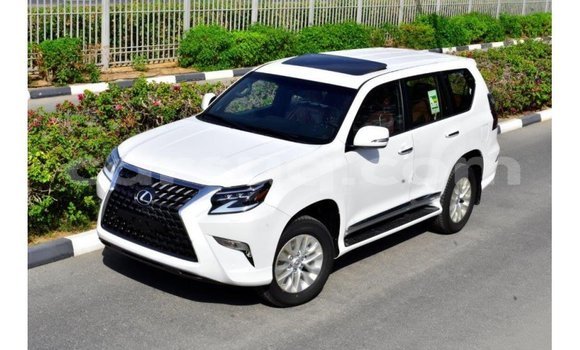 Acheter Import Voiture Lexus GX Blanc à Import - Dubai, Barh el Gazel Acheter Import Voiture Lexus GX Blanc à Import - Dubai, Barh el Gazel