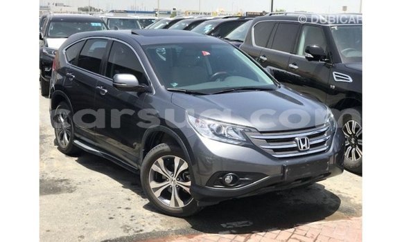 Acheter Import Moto Honda C Autre à Import - Dubai, Barh el Gazel Acheter Import Moto Honda C Autre à Import - Dubai, Barh el Gazel