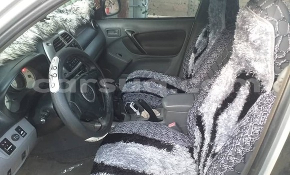 Buy Used Toyota RAV4 Silver Car in N'Djamena in Chari-Baguirmi Buy Used Toyota RAV4 Silver Car in N'Djamena in Chari-Baguirmi