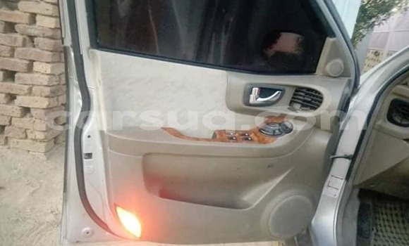 Buy Used Hyundai Santa Fe Silver Car in N'Djamena in Chari-Baguirmi Buy Used Hyundai Santa Fe Silver Car in N'Djamena in Chari-Baguirmi
