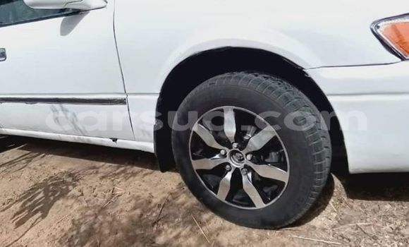 Buy Used Toyota Camry White Car in N'Djamena in Chari-Baguirmi Buy Used Toyota Camry White Car in N'Djamena in Chari-Baguirmi