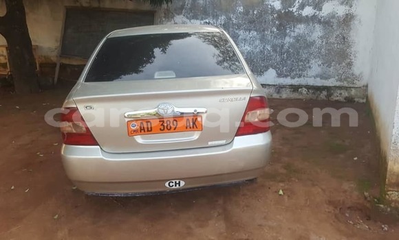 Buy Used Toyota Corolla Silver Car in N'Djamena in Chari-Baguirmi Buy Used Toyota Corolla Silver Car in N'Djamena in Chari-Baguirmi