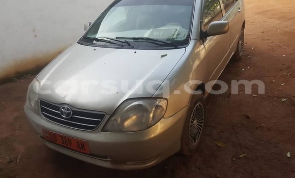 Buy Used Toyota Corolla Silver Car in N'Djamena in Chari-Baguirmi Buy Used Toyota Corolla Silver Car in N'Djamena in Chari-Baguirmi