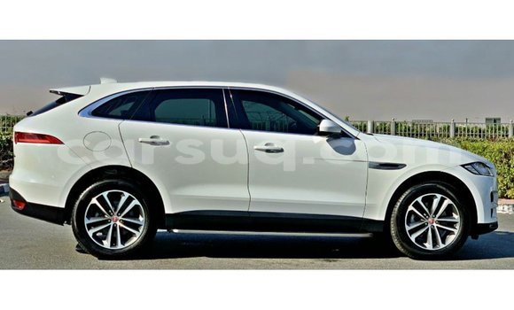 Acheter Import Voiture Jaguar F-Pace Blanc à Import - Dubai, Barh el Gazel Acheter Import Voiture Jaguar F-Pace Blanc à Import - Dubai, Barh el Gazel