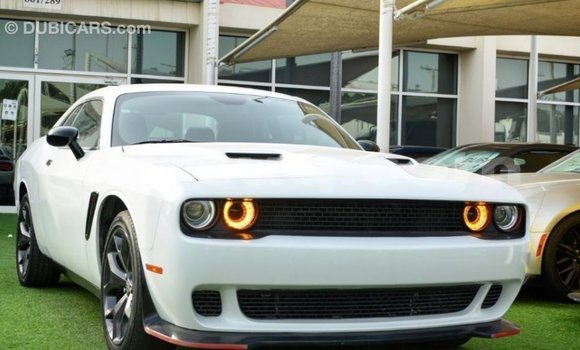 Buy Import Dodge Challenger White Car in Import - Dubai in Barh el Gazel Buy Import Dodge Challenger White Car in Import - Dubai in Barh el Gazel