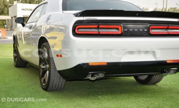 Buy Import Dodge Challenger White Car in Import - Dubai in Barh el Gazel Buy Import Dodge Challenger White Car in Import - Dubai in Barh el Gazel