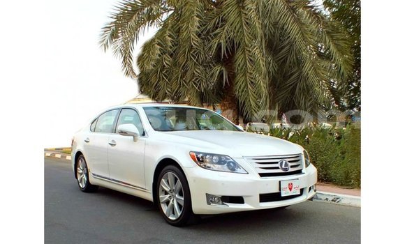 Acheter Import Voiture Lexus LS Blanc à Import - Dubai, Barh el Gazel