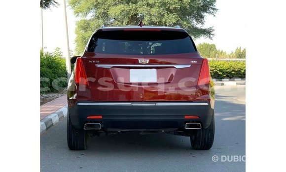 Acheter Import Voiture Cadillac XT5 Rouge à Import - Dubai, Barh el Gazel Acheter Import Voiture Cadillac XT5 Rouge à Import - Dubai, Barh el Gazel