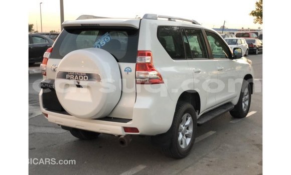Acheter Import Voiture Toyota Prado Blanc à Import - Dubai, Barh el Gazel Acheter Import Voiture Toyota Prado Blanc à Import - Dubai, Barh el Gazel
