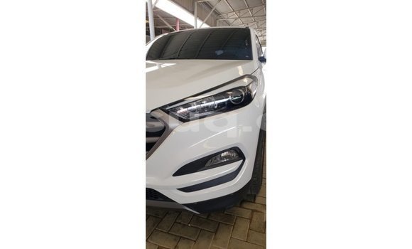 Acheter Import Voiture Hyundai Tucson Blanc à Import - Dubai, Barh el Gazel Acheter Import Voiture Hyundai Tucson Blanc à Import - Dubai, Barh el Gazel