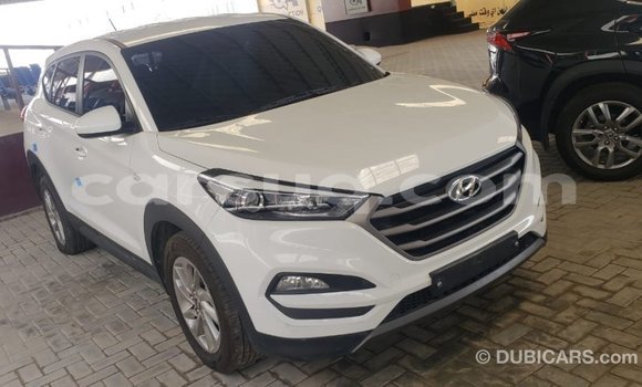 Acheter Import Voiture Hyundai Tucson Blanc à Import - Dubai, Barh el Gazel Acheter Import Voiture Hyundai Tucson Blanc à Import - Dubai, Barh el Gazel