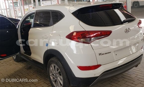 Acheter Import Voiture Hyundai Tucson Blanc à Import - Dubai, Barh el Gazel Acheter Import Voiture Hyundai Tucson Blanc à Import - Dubai, Barh el Gazel
