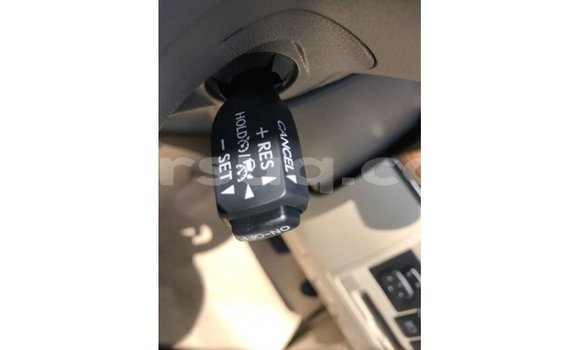 Acheter Import Voiture Toyota Land Cruiser Blanc à Import - Dubai, Barh el Gazel Acheter Import Voiture Toyota Land Cruiser Blanc à Import - Dubai, Barh el Gazel