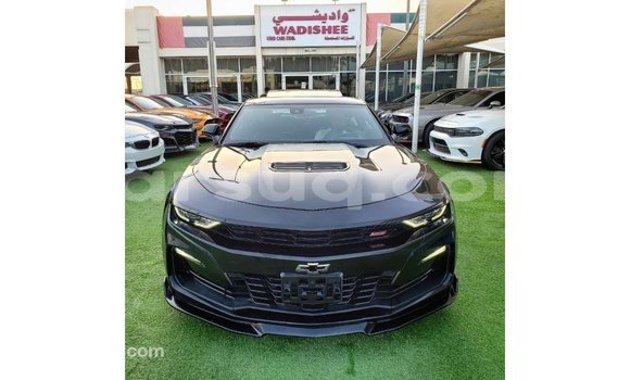 Acheter Import Voiture Chevrolet Camaro Noir à Import - Dubai, Barh el Gazel Acheter Import Voiture Chevrolet Camaro Noir à Import - Dubai, Barh el Gazel