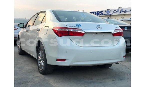 Acheter Import Voiture Toyota Corolla Blanc à Import - Dubai, Barh el Gazel Acheter Import Voiture Toyota Corolla Blanc à Import - Dubai, Barh el Gazel