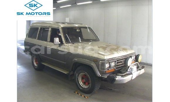 Acheter Import Voiture Toyota Land Cruiser Autre à Import - Dubai, Barh el Gazel Acheter Import Voiture Toyota Land Cruiser Autre à Import - Dubai, Barh el Gazel