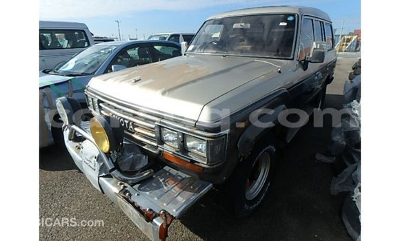 Acheter Import Voiture Toyota Land Cruiser Autre à Import - Dubai, Barh el Gazel Acheter Import Voiture Toyota Land Cruiser Autre à Import - Dubai, Barh el Gazel