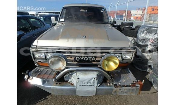 Acheter Import Voiture Toyota Land Cruiser Autre à Import - Dubai, Barh el Gazel Acheter Import Voiture Toyota Land Cruiser Autre à Import - Dubai, Barh el Gazel