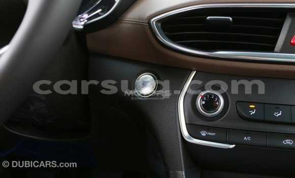 Acheter Import Voiture Hyundai Santa Fe Marron à Import - Dubai, Barh el Gazel Acheter Import Voiture Hyundai Santa Fe Marron à Import - Dubai, Barh el Gazel