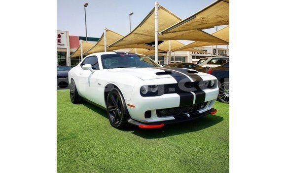 Acheter Import Voiture Dodge Challenger Blanc à Import - Dubai, Barh el Gazel