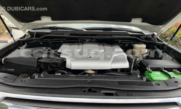 Acheter Import Voiture Toyota Land Cruiser Blanc à Import - Dubai, Barh el Gazel Acheter Import Voiture Toyota Land Cruiser Blanc à Import - Dubai, Barh el Gazel