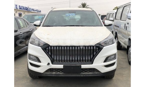 Acheter Import Voiture Hyundai Tucson Blanc à Import - Dubai, Barh el Gazel Acheter Import Voiture Hyundai Tucson Blanc à Import - Dubai, Barh el Gazel