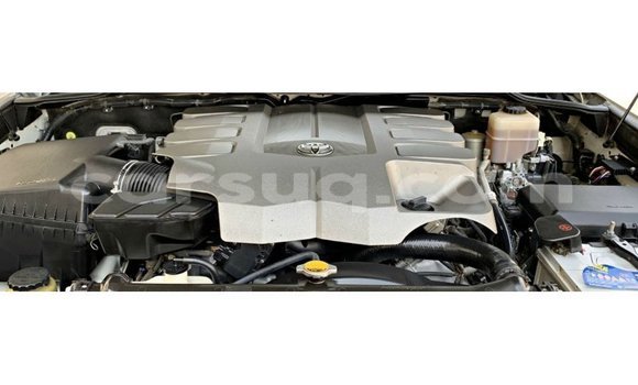 Acheter Import Voiture Toyota Land Cruiser Blanc à Import - Dubai, Barh el Gazel Acheter Import Voiture Toyota Land Cruiser Blanc à Import - Dubai, Barh el Gazel