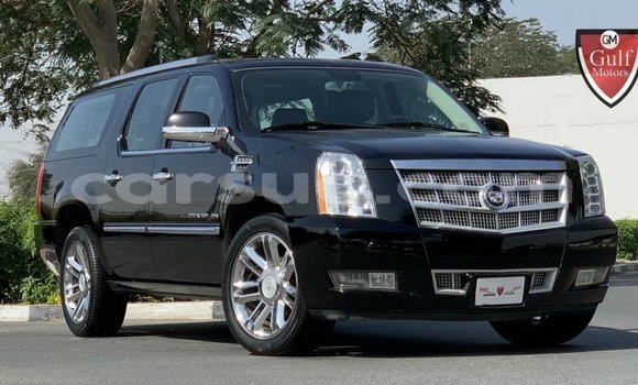 Acheter Import Voiture Cadillac Escalade Noir à Import - Dubai, Barh el Gazel